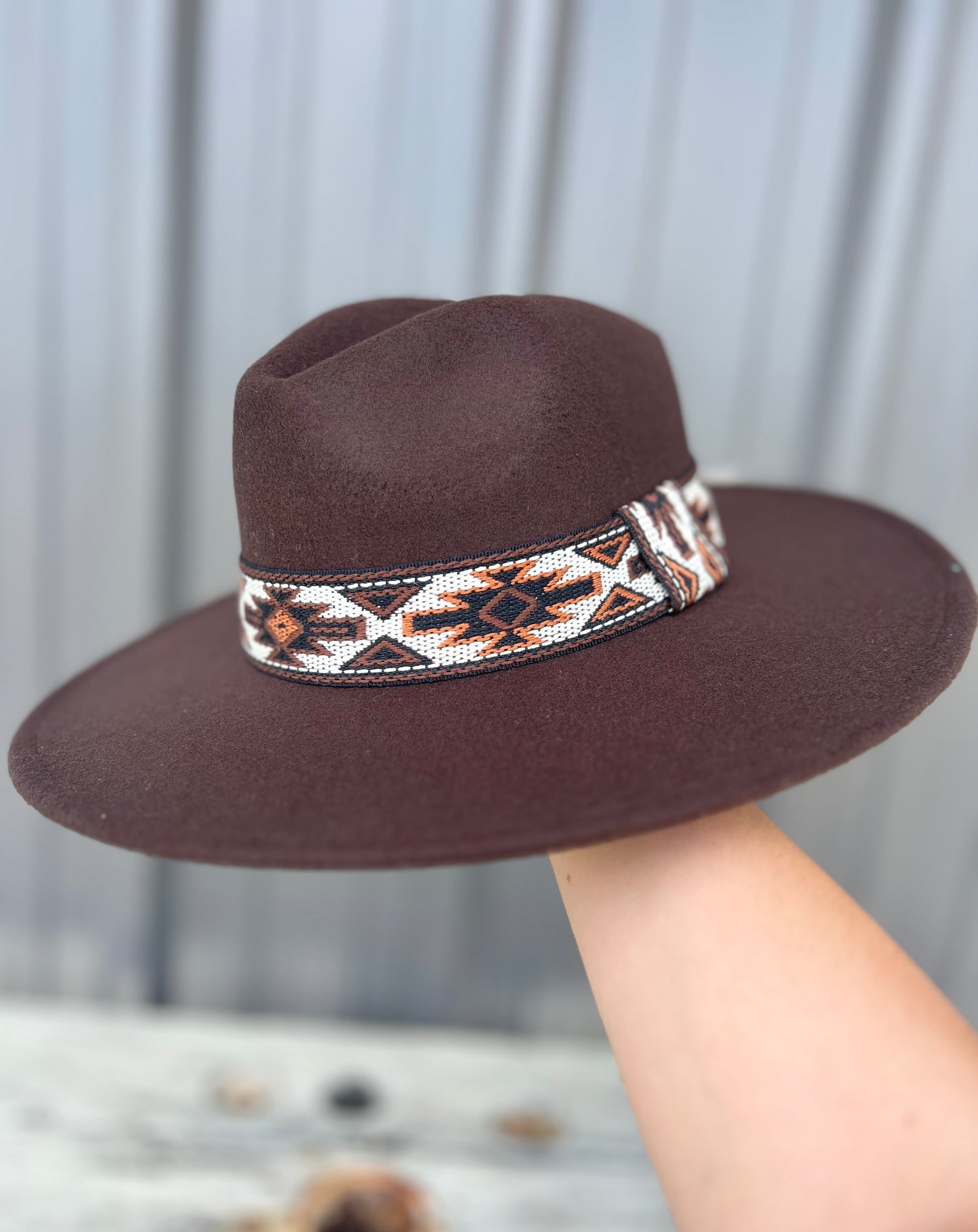 felt banded hat, dark brown